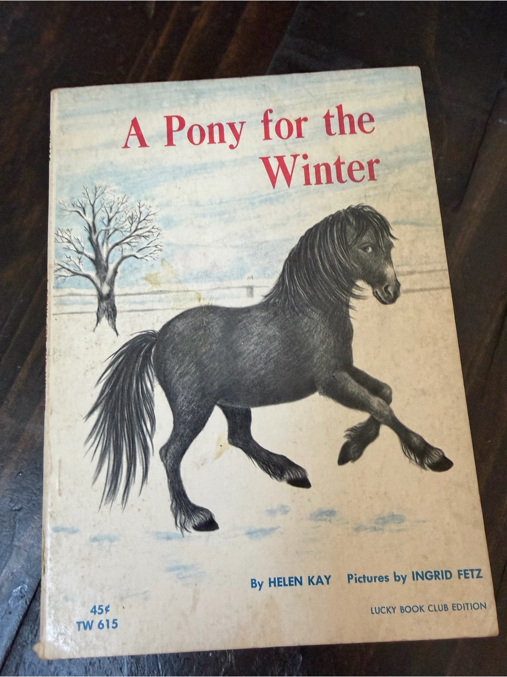 A Pony for the Winter Helen Kay Ingrid Fetz Scholastic Book 1967